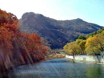 新澳天天开奖资料大全旅游团，完结小说排行榜前10名